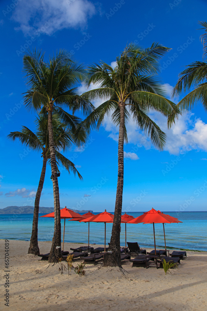 Beach chairs and palms on tropical sand beach