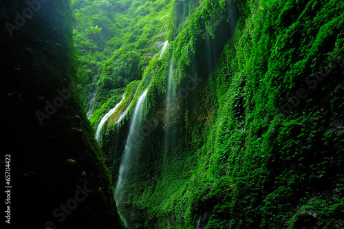 Mossy Waterfalls