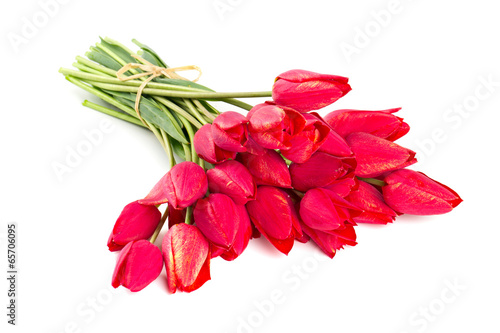 Fototapeta Naklejka Na Ścianę i Meble -  bunch of red tulips isolated on white