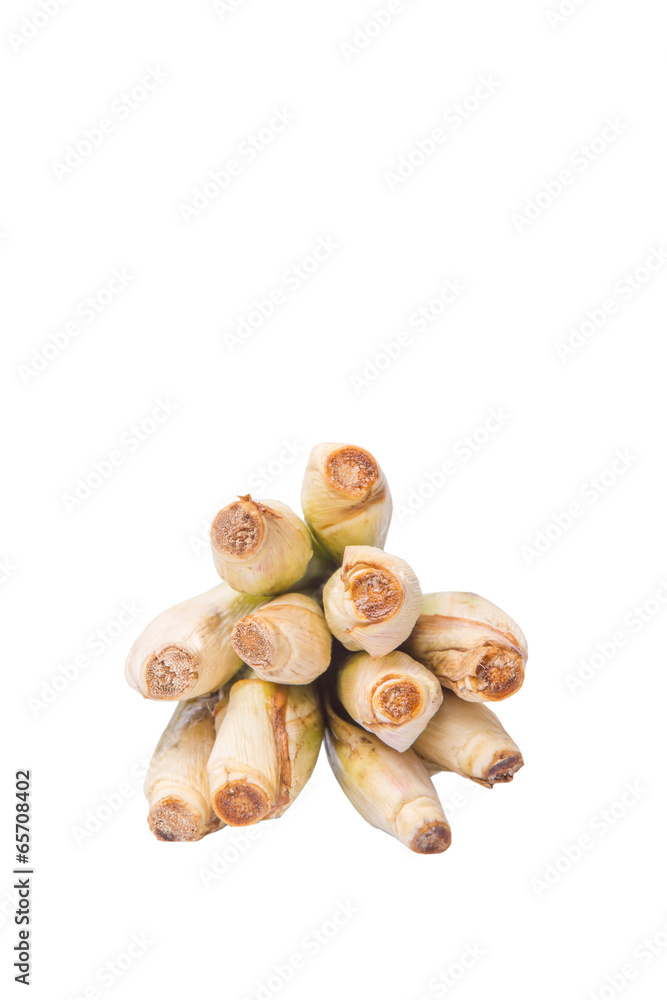 A bunch of lemongrass over white background A bunch of lemongrass over white background