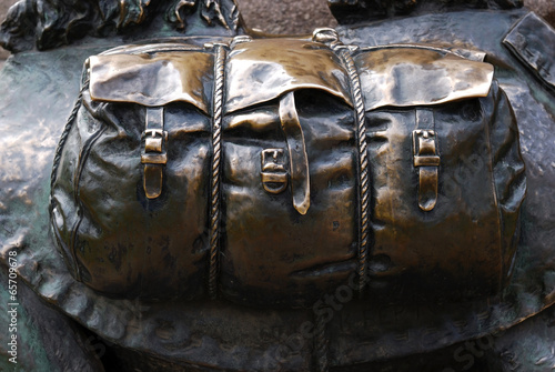 Bronze travel bag