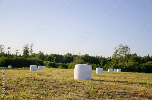 polythene wrapped grass bales fodder for animal