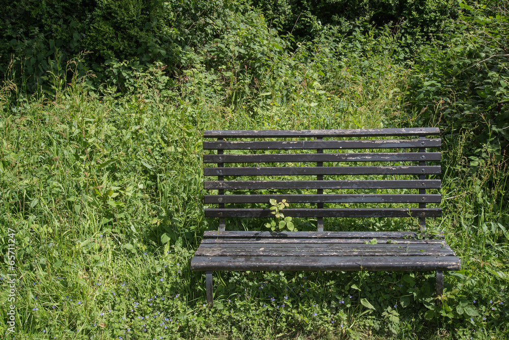 Landscape image of old bench in vibrant Summer forest