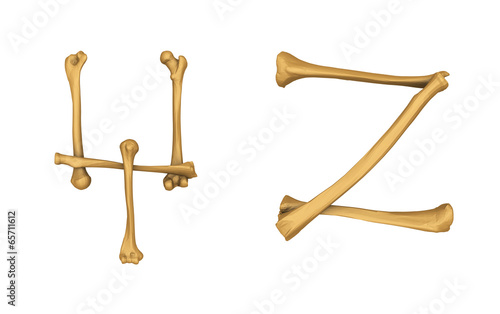 Skeleton alphabet Y and Z