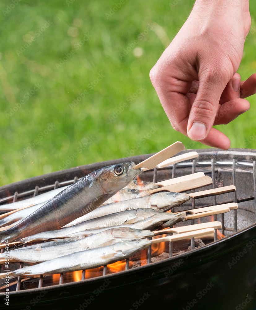 Grill sardines on the garden Stock Photo Adobe Stock