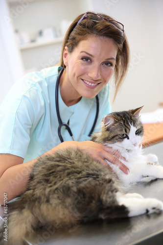 Portrait of smiling veterinarian woman with cat