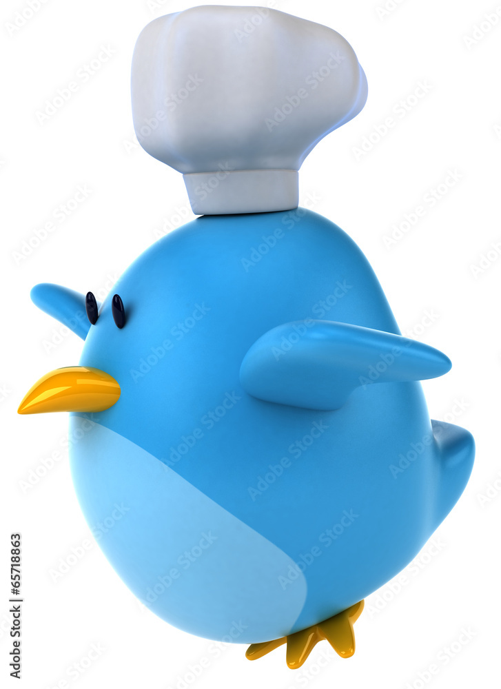 Blue bird Blue bird