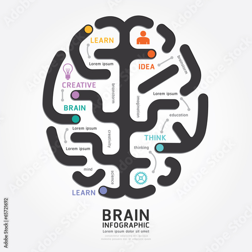 infographics vector brain design diagram line style template