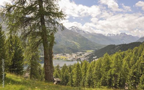 St. Moritz, See, Corviglia, Alpen, Sommer, Graubünden, Schweiz