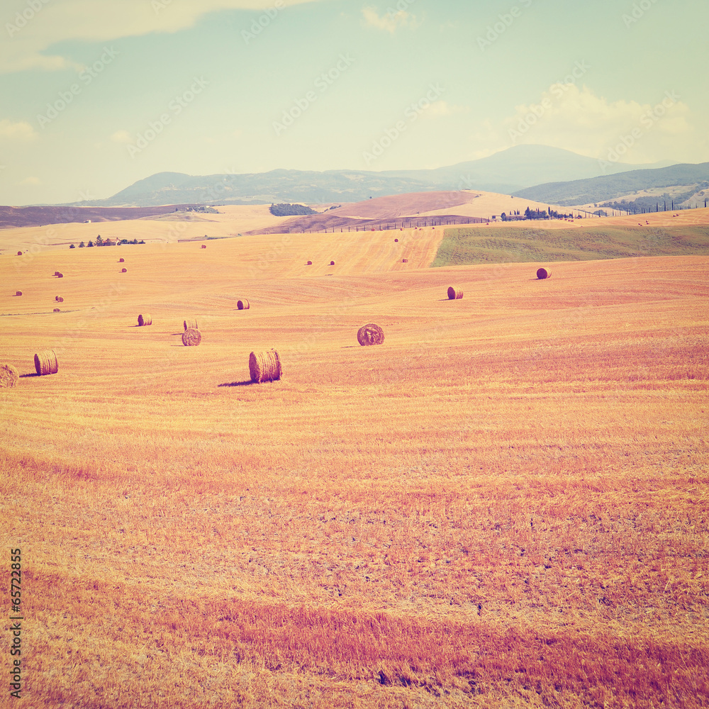 Fototapeta premium Hay Bales