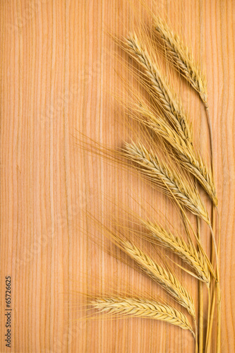 ripe golden ears of wheat on the wooden background