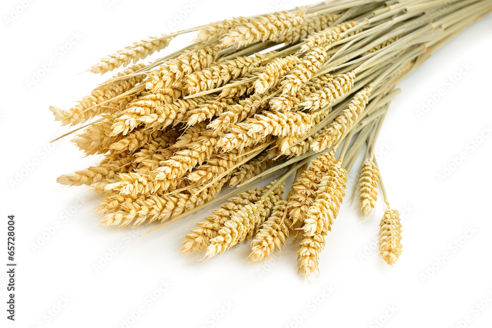 wheat wheat