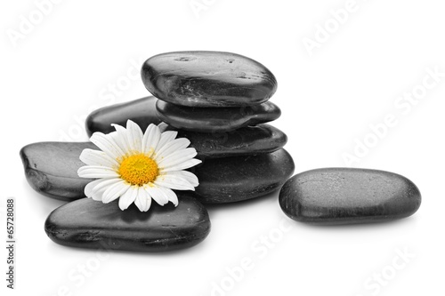 zen basalt stones and daisy