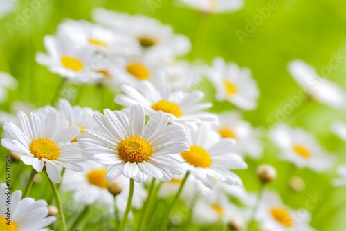 Fototapeta Naklejka Na Ścianę i Meble -  naure power