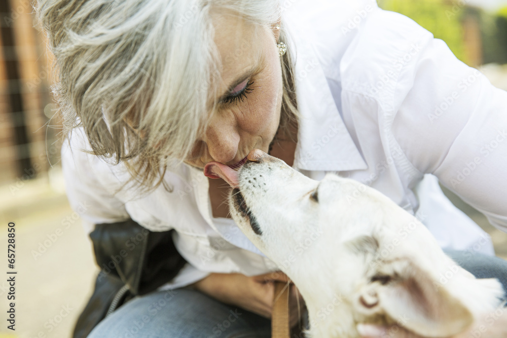 Hund leckt das Gesicht einer Frau – Stock-Foto | Adobe Stock