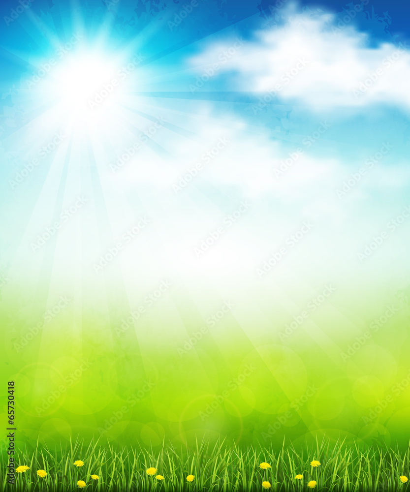 Bright summer vector