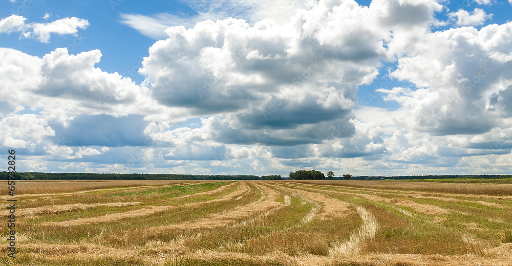 summer landscape with field harvest and large overhanging clouds