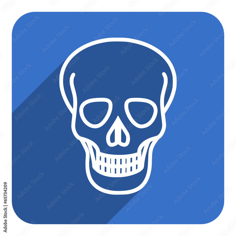 skull flat icon skull flat icon