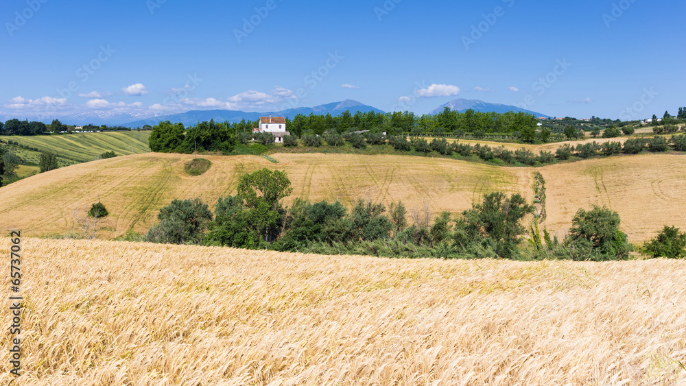 the hills of Abruzzo