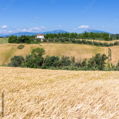 the hills of Abruzzo