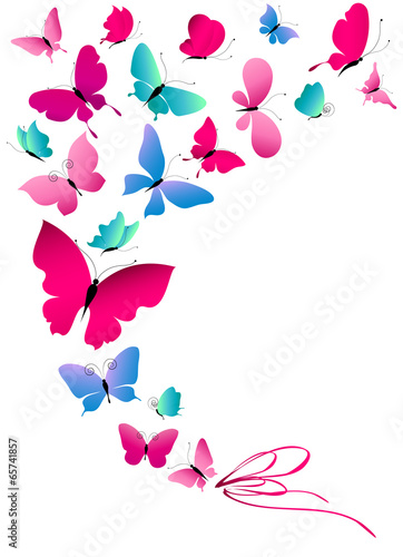butterflies design