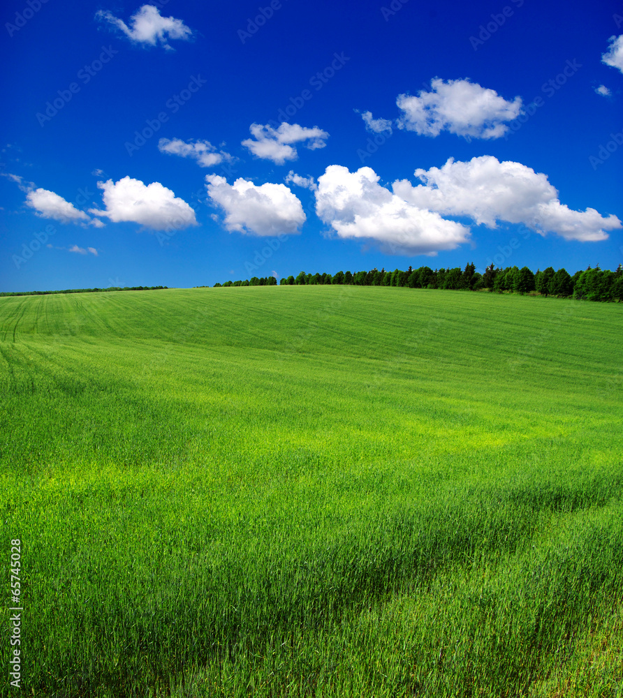 green field green field