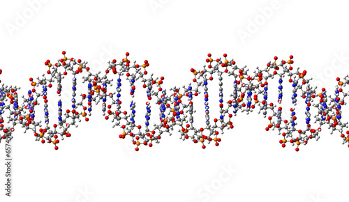 DNA molecule. 3D Illustration