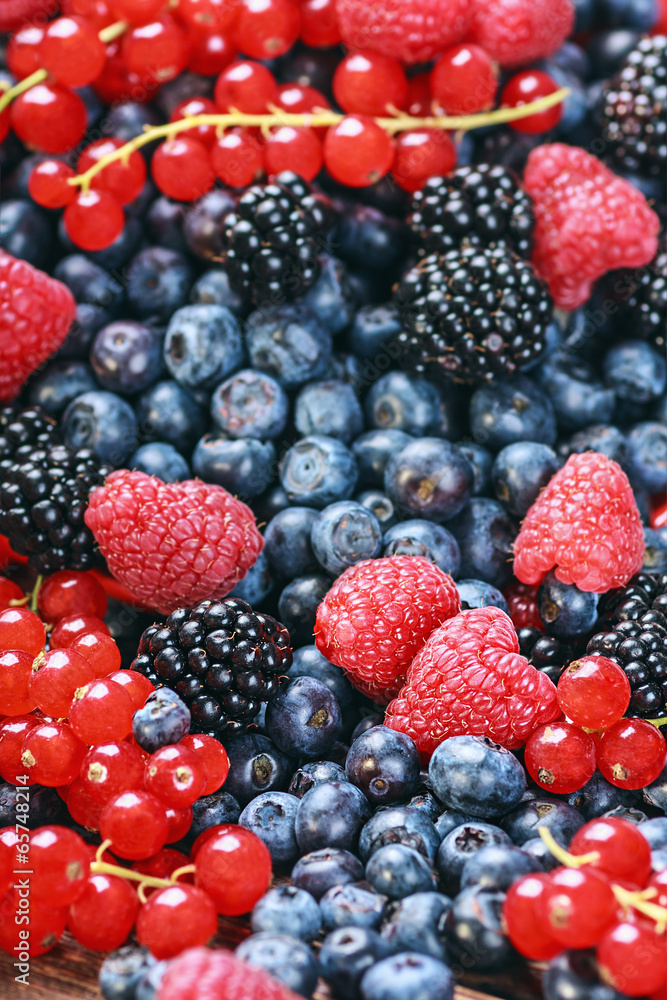 fresh blueberries, currants, blackberries, cranberries fresh blueberries, currants, blackberries, cranberries