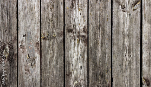 Wallpaper Mural The old wood texture with natural patterns Torontodigital.ca