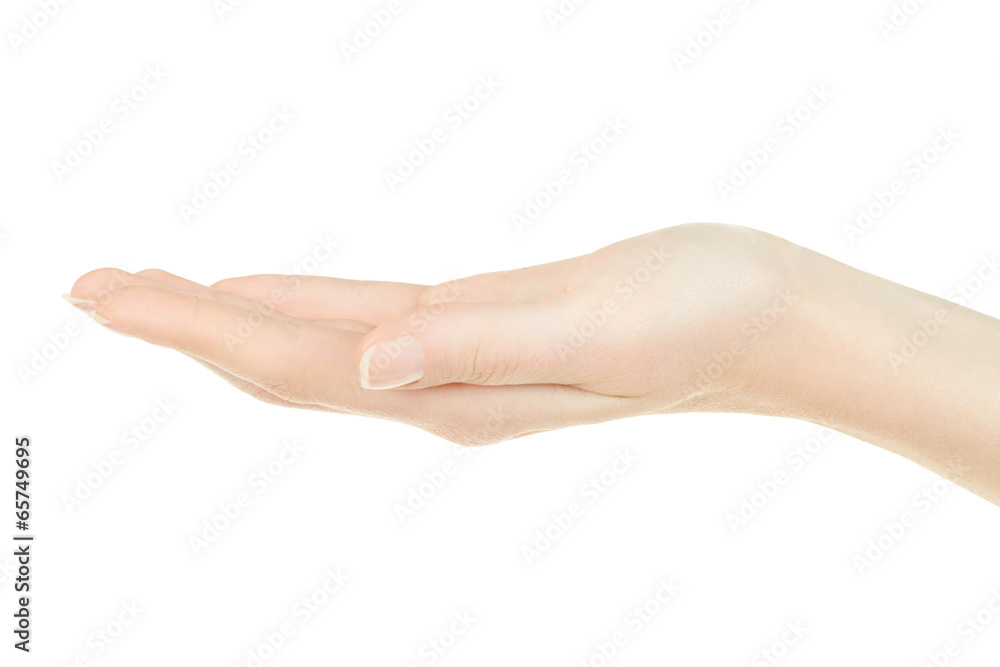 Female hand open, palm up on white, clipping path