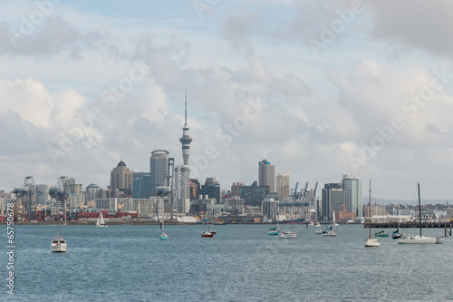 boats in Auckland marina