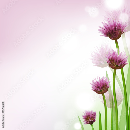 Flower Card