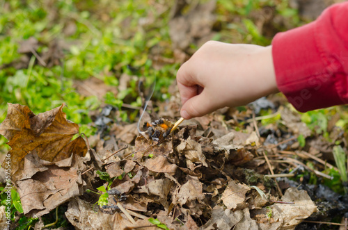 Child striking a match photo