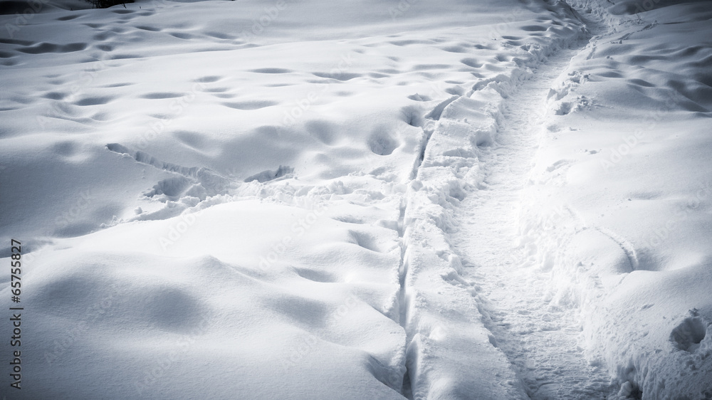 Obraz premium Many tracks and footprints in the snow