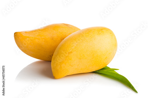 Obraz na płótnie mango fruit isolated on white background