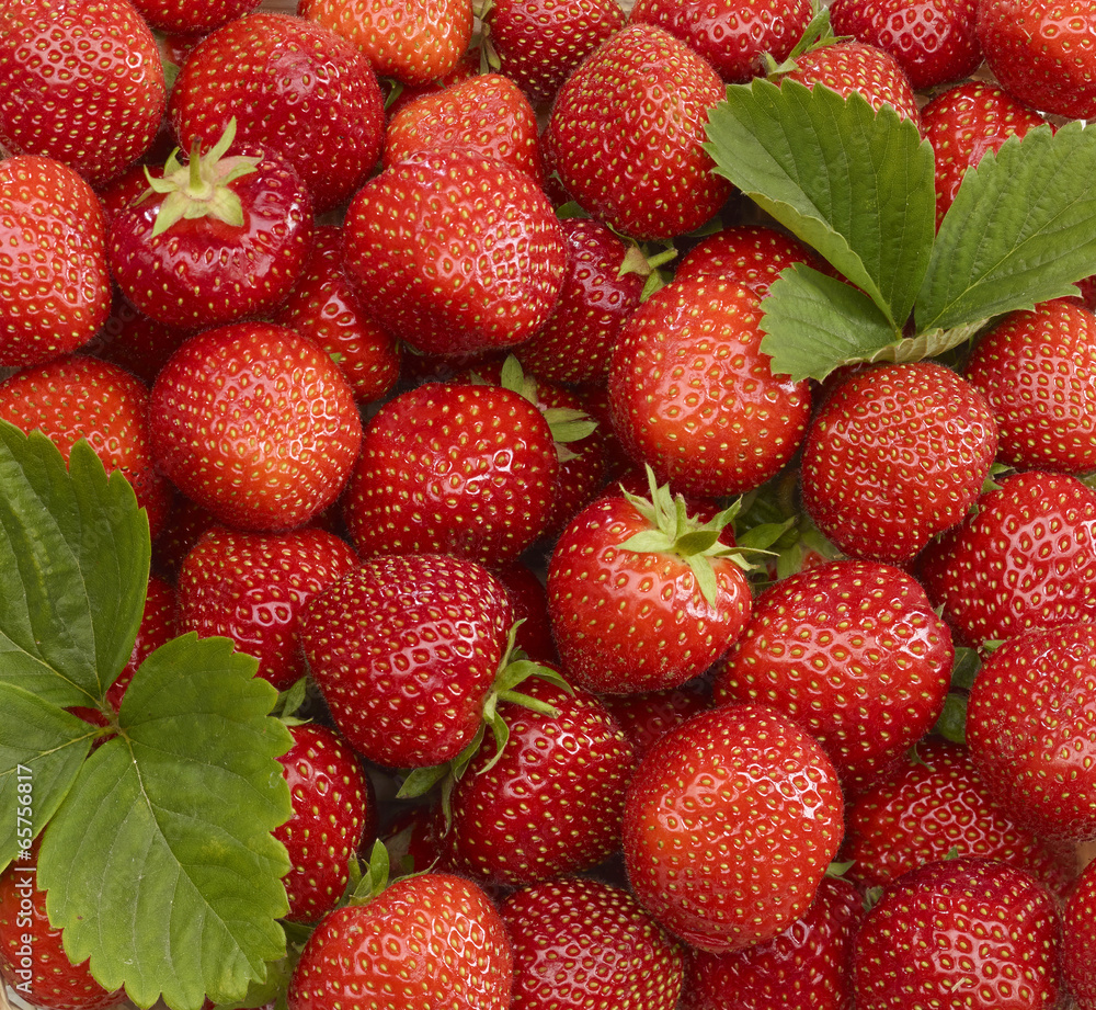 Erdbeeren Erdbeeren