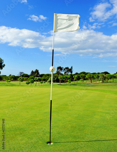 Golf course, green