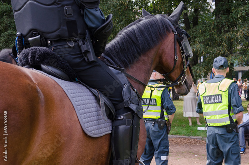 mounted police horse and policeman public event