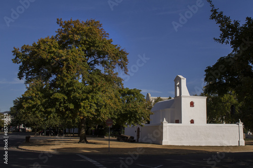 old tower bell and big tree