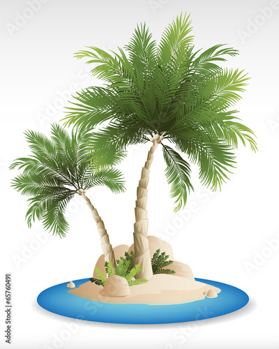 tropical  island