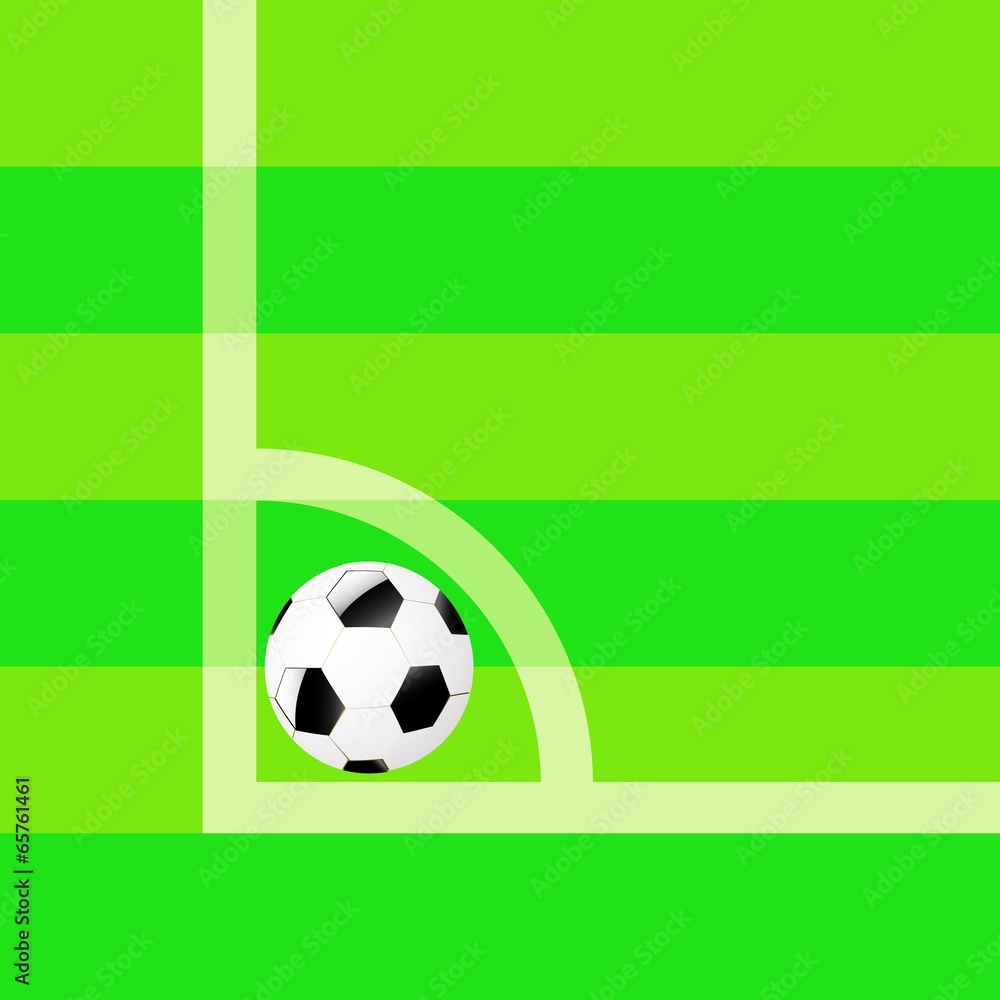 ball on the soccer field ball on the soccer field