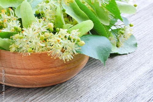 Flowers of linden tree in wooden bowl