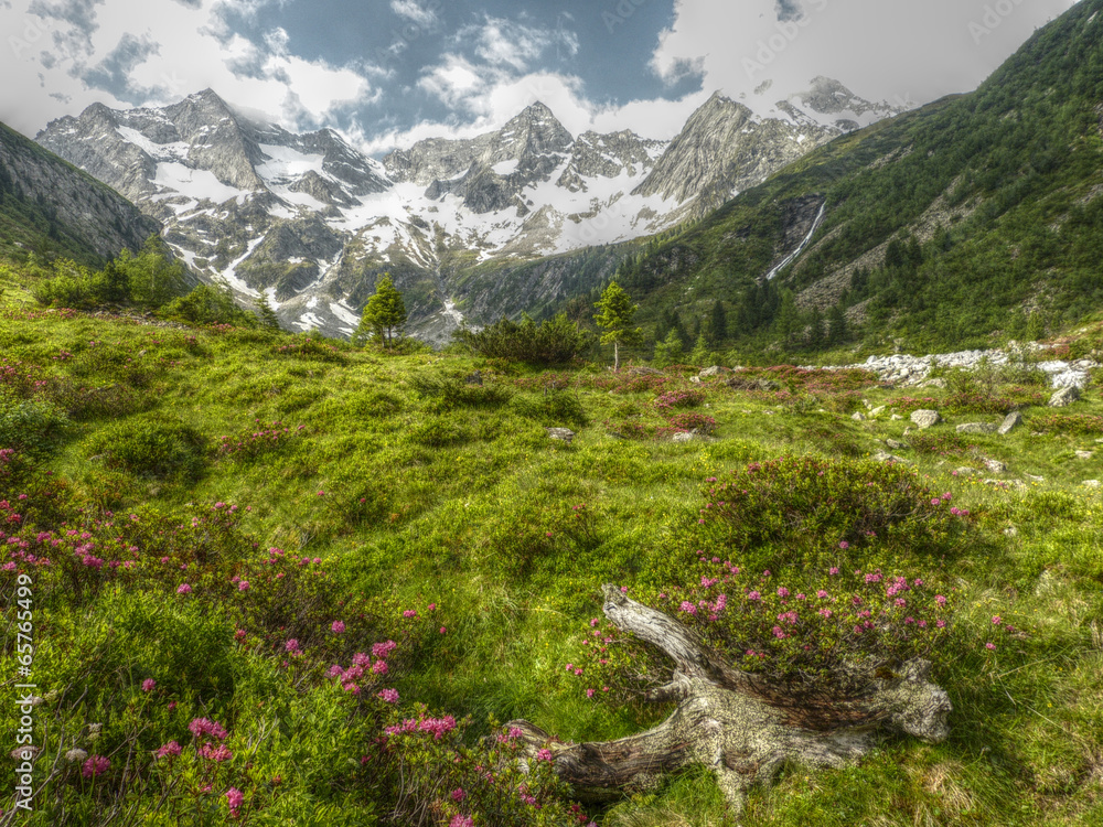 alpine Naturlandschaft in HDR