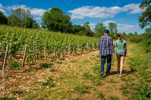 Photography promenade dans les vignes