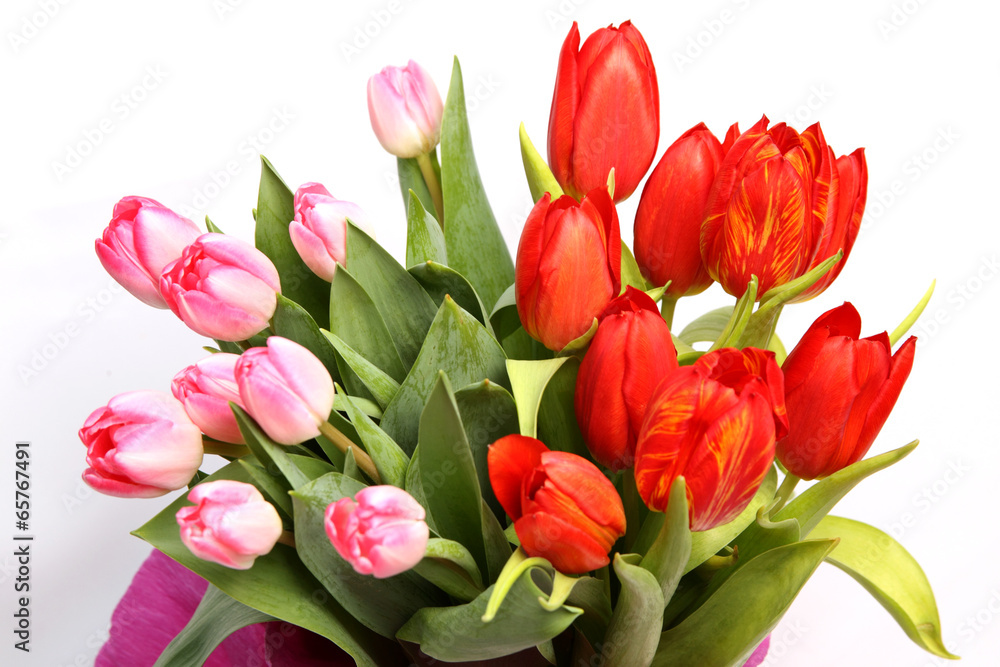Frühlingsblumen Frühlingsblumen