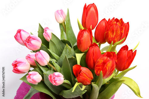 Fototapeta Naklejka Na Ścianę i Meble -  Frühlingsblumen