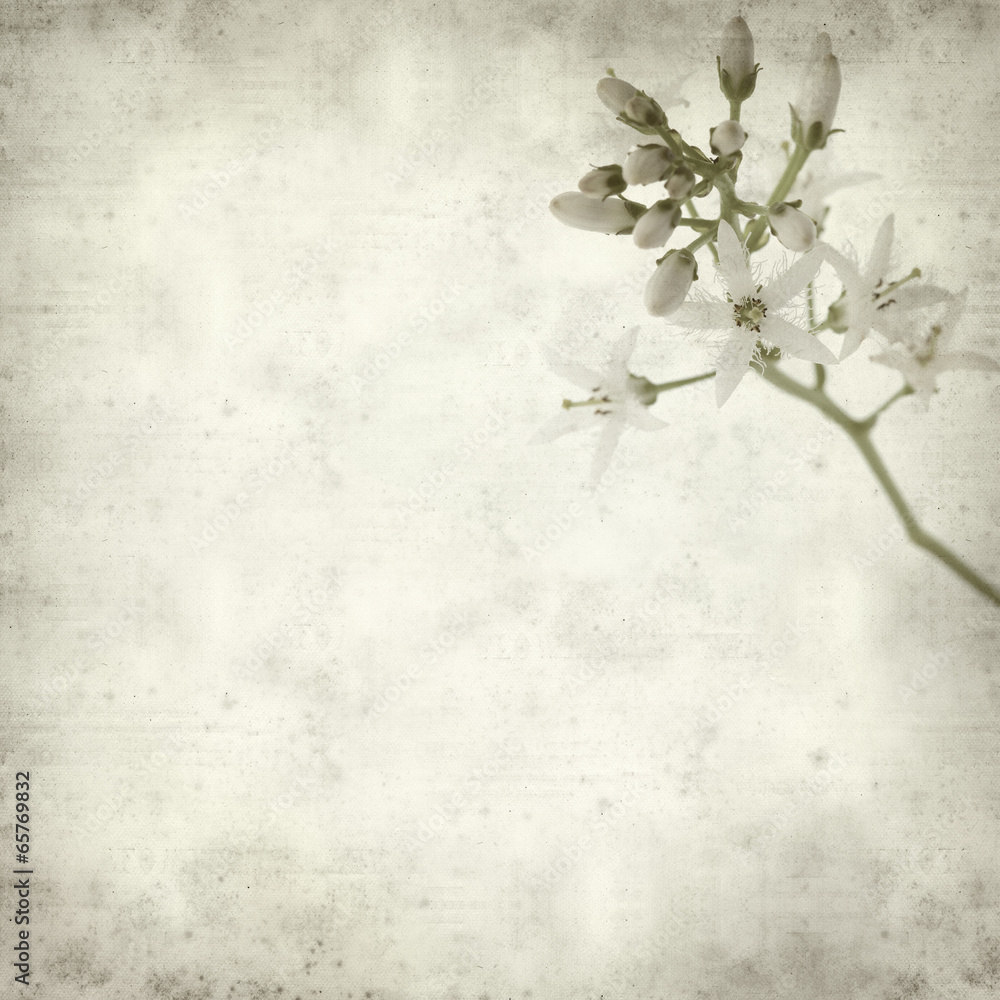 textured old paper background textured old paper background