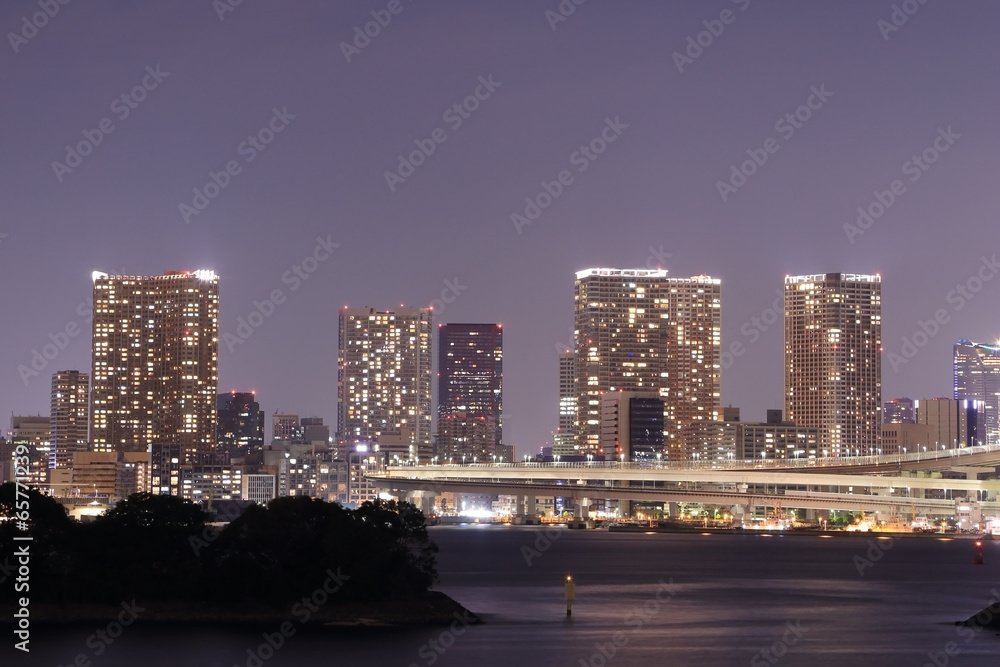 Obraz premium Odaiba, Tokyo cityscape