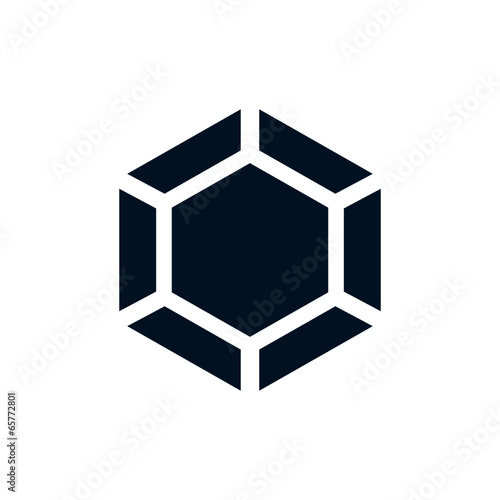 Monochrome icon