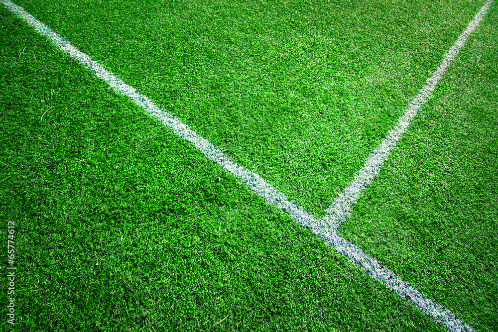 Fototapeta premium Soccer grass field background